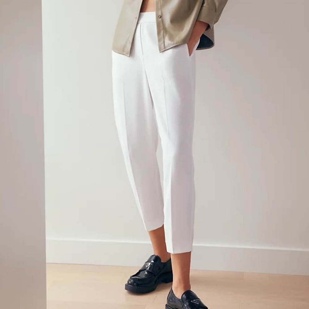 NWT Aritzia Babaton Conan Pant